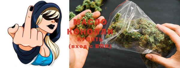 индика Абаза
