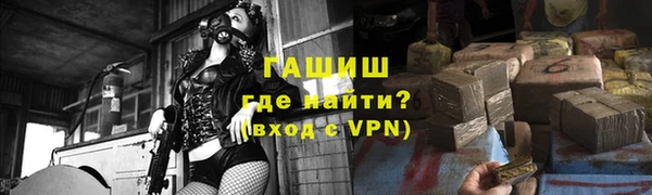 индика Абаза