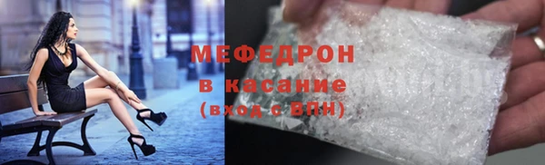 индика Абаза