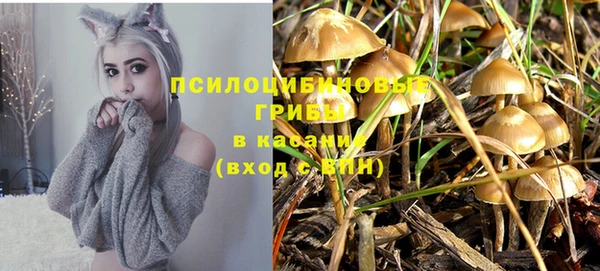 ГАЛЛЮЦИНОГЕННЫЕ ГРИБЫ Остров