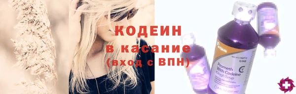 индика Абаза