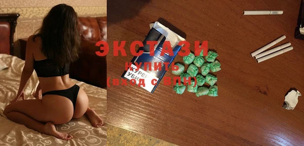 индика Абаза