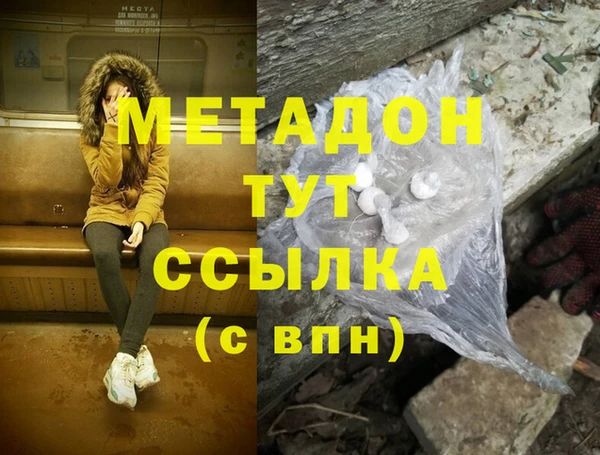 индика Абаза
