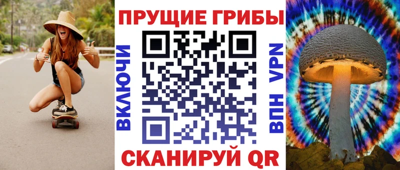 Псилоцибиновые грибы Cubensis Новотроицк